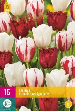 Tulpe Dutch Design Mix (15 Stück) | Tulpenzwiebeln Von Jub Holland