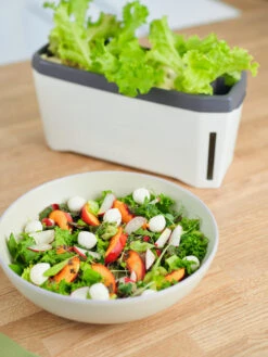 HARRY HERBS Kräutertopf Weiß | Kräutertöpfe Von Gusta Garden -Samen Zauber 560336 HARRY HERBS weiss 102B10 gg 4