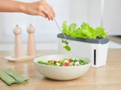 HARRY HERBS Weiß Ohne Haube | Kräutertöpfe Von Gusta Garden -Samen Zauber 560337 HARRY HERBS weiss ohne Haube 102B20 gg 5