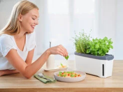 HARRY HERBS Weiß Ohne Haube | Kräutertöpfe Von Gusta Garden -Samen Zauber 560337 HARRY HERBS weiss ohne Haube 102B20 gg 8