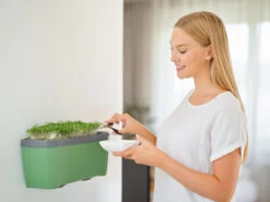 HARRY HERBS Dunkelgrün Ohne Haube | Kräutertöpfe Von Gusta Garden -Samen Zauber 560339 HARRY HERBS dunkelgruen ohne Haube 103B20 gg 3