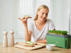 HARRY HERBS Dunkelgrün Ohne Haube | Kräutertöpfe Von Gusta Garden -Samen Zauber 560339 HARRY HERBS dunkelgruen ohne Haube 103B20 gg 5