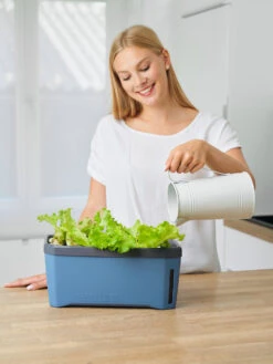 HARRY HERBS Kräutertopf Blau | Kräutertöpfe Von Gusta Garden -Samen Zauber 560340 HARRY HERBS blau 104B10 gg 2