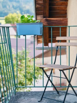 HARRY HERBS Kräutertopf Blau | Kräutertöpfe Von Gusta Garden -Samen Zauber 560340 HARRY HERBS blau 104B10 gg 7