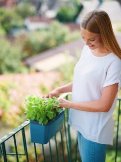 HARRY HERBS Blau Ohne Haube | Kräutertöpfe Von Gusta Garden -Samen Zauber 560341 HARRY HERBS blau ohne Haube 104B20 gg 4