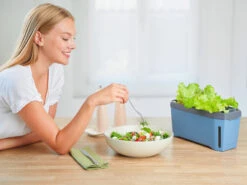 HARRY HERBS Blau Ohne Haube | Kräutertöpfe Von Gusta Garden -Samen Zauber 560341 HARRY HERBS blau ohne Haube 104B20 gg 7