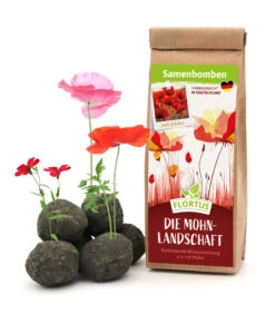 Samenbomben Die Mohnlandschaft (6 Stück) | Mohnsamen Von FLORTUS -Samen Zauber 562163 Samenbomben Die Mohnlandschaft 6 Stueck 2000 1054 1