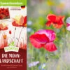 Samenbomben Die Mohnlandschaft (6 Stück) | Mohnsamen Von FLORTUS 2 Samenbomben Die Mohnlandschaft (6 Stück) | Mohnsamen Von FLORTUS -Samen Zauber 562163 Samenbomben Die Mohnlandschaft 6 Stueck 2000 1054 2