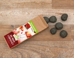 Samenbomben Die Mohnlandschaft (6 Stück) | Mohnsamen Von FLORTUS -Samen Zauber 562163 Samenbomben Die Mohnlandschaft 6 Stueck 2000 1054 3