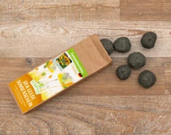 Samenbomben Der Gelbe Sonnenschein (6 Stück) | Blumensamenmischung Von FLORTUS -Samen Zauber 562164 Samenbomben Der Gelbe Sonnenschein 6 Stueck 2000 1055 3