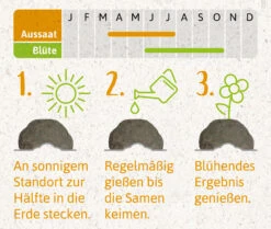 Samenbomben Der Gelbe Sonnenschein (6 Stück) | Blumensamenmischung Von FLORTUS -Samen Zauber 562164 Samenbomben Der Gelbe Sonnenschein 6 Stueck 2000 1055 4