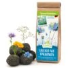 Samenbomben Urlaub Auf Balkonien (6 Stück) | Blumensamenmischung Von FLORTUS -Samen Zauber 562167 Samenbomben Urlaub auf Balkonien 6 Stueck 2000 1058 1