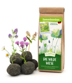Samenbomben Die Wilde Wiese (6 Stück) | Wildblumenwiese Von FLORTUS -Samen Zauber 562168 Samenbomben Die wilde Wiese 6 Stueck 2000 1059 1