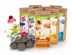 Samenbomben Set (8 Päckchen) | Blumensamenmischung Von FLORTUS -Samen Zauber 562498 Samenbomben Set 8 Paeckchen 2000 2367 1