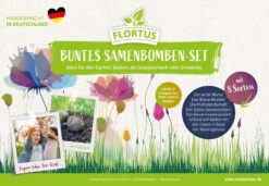 Samenbomben Set (8 Päckchen) | Blumensamenmischung Von FLORTUS -Samen Zauber 562498 Samenbomben Set 8 Paeckchen 2000 2367 2