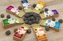 Samenbomben Set (8 Päckchen) | Blumensamenmischung Von FLORTUS -Samen Zauber 562498 Samenbomben Set 8 Paeckchen 2000 2367 3