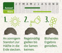 Samenbomben Set (8 Päckchen) | Blumensamenmischung Von FLORTUS -Samen Zauber 562498 Samenbomben Set 8 Paeckchen 2000 2367 4