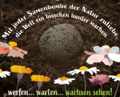 Samenbomben Set (8 Päckchen) | Blumensamenmischung Von FLORTUS -Samen Zauber 562498 Samenbomben Set 8 Paeckchen 2000 2367 7 1