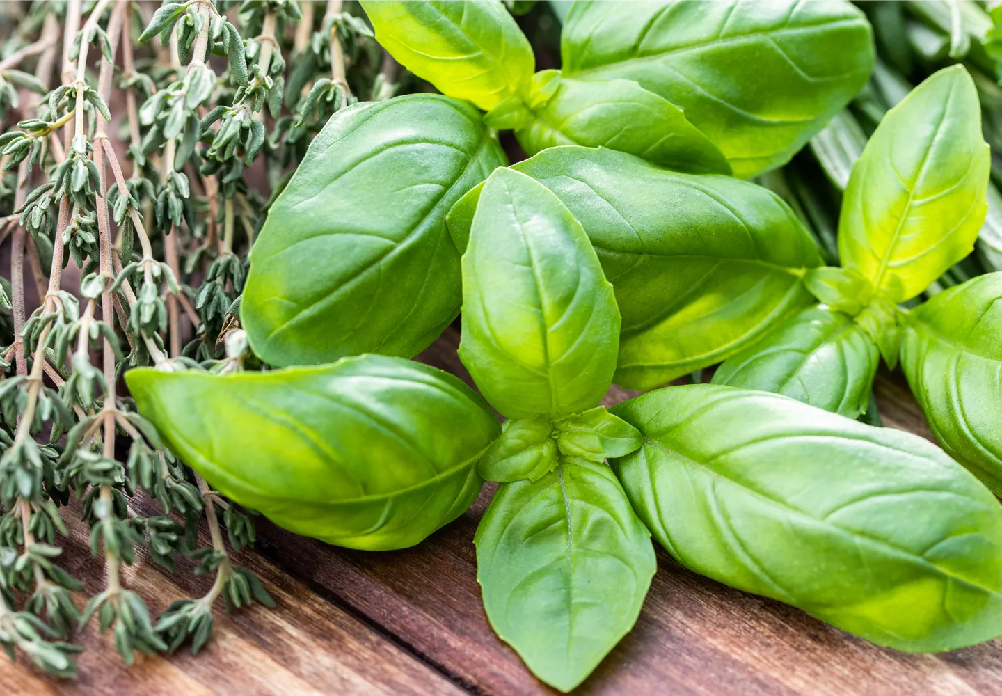 Samen Zauber -Samen Zauber Kraeuter 1440x1000 proportionalsmallest 0 766 6720 3239